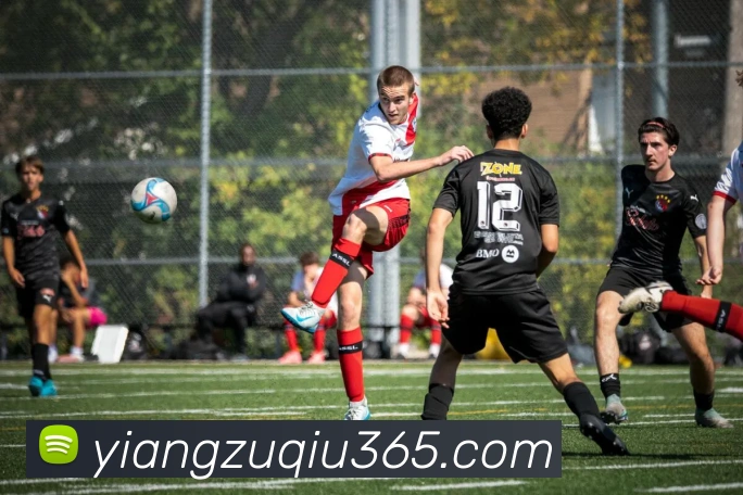 意昂体育平台生态图